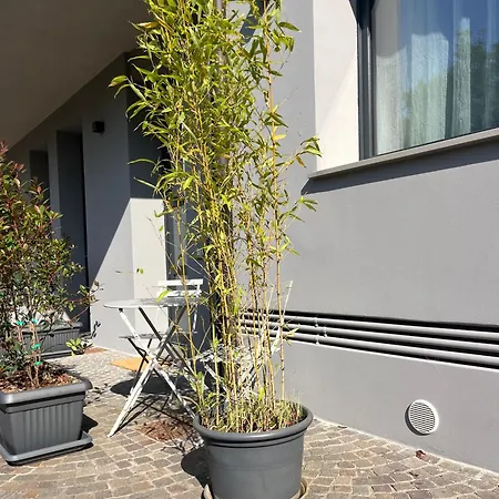 Apartman Al 31 Bg