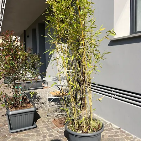 Al 31 Bg * ברגמו